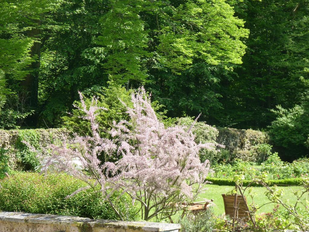 Le Clos Saint Nicolas * Château-Renard